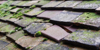 Llanglydwen roof repair costs